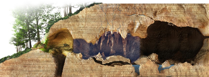 medical illustration of geology, Environment, wayside, signage, diagram, textbook, exhibit, mural, food web, nature, environmental design, museum, zoo, aquarium, education, public outreach, student, life, animals, plants, ecology, landscape, scientist, ecologist, biologist, science expert, technical, display, donors, communication,