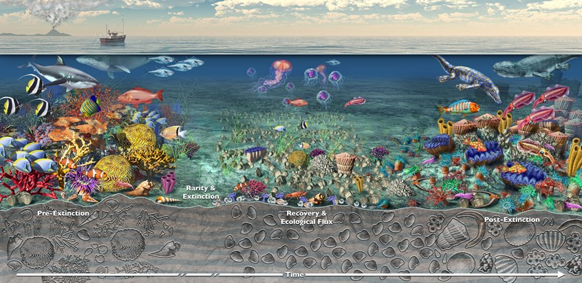 medical illustration of halibut, reef, coral, jellyfish, global warming, climate, sharks, future, figure, scientist, fish, sea, ecology, Environment, wayside, signage, diagram, textbook, exhibit, mural, food web, nature, environmental design, museum, zoo, aquarium, education, public outreach, student, life, animals, plants, ecology, landscape, scientist, ecologist, biologist, science expert, technical, display, donors, communication, corporate, non-profit, explainer graphic, researcher