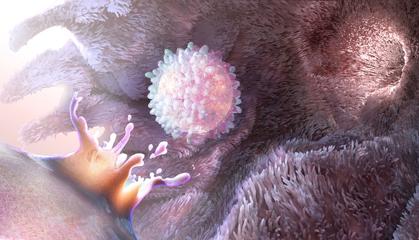 medical illustration of Ovulation – an egg bursts forth from the ovary where it’s carried by cilia in the Fallopian tubes. Created for magazine feature cover art. FDA Approval, NIH grants, UVP, Branding, research, science, development, biotech, investor relations, trade show, exhibit, cartoons, advertising, website, scientific, pitch deck, patient education, innovation, press release, visual identity, funding, milestones, investor presentation, editorial, healthcare, fertility