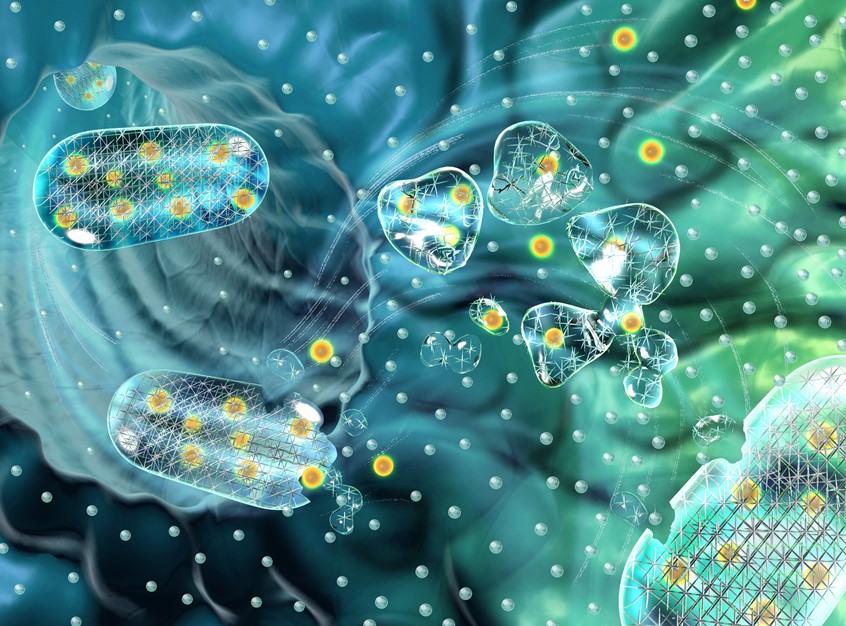 medical illustration of Cell, membrane, material science, engineering, cell biology, molecular biology, er, rainbow, biotech, startup, pharma, healthcare,UVP, Branding, ROI, R&D, research, science, Phase I, technology, manufacture, discovery, preclinical, clinical, laboratory tests, experimental, development, biotech, investor relations, trade show, exhibit,