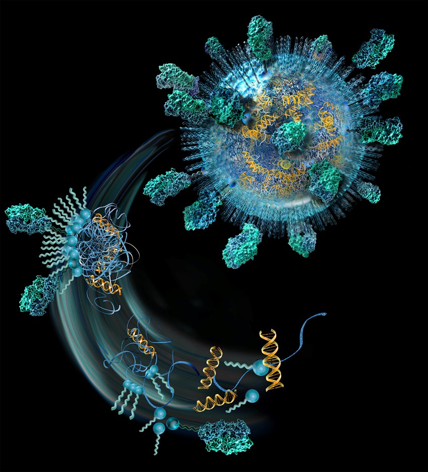 medical illustration of COVID vaccine, mRNA vaccine, mrna vaccine nanoparticle, Nanoparticle, nanosphere, science communication, scientific animation, vaccine animation, biotech, startup, moa, mode of action, explainer graphic, MOA, mode of action, pharma, healthcare,UVP, Branding, ROI, R&D, research, science, Phase I, technology, manufacture, discovery, preclinical, clinical, laboratory tests, experimental, development, biotech, investor relations, trade show, exhibit,