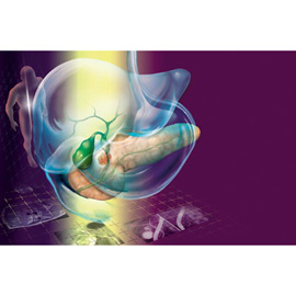 medical illustration of Airbrush, Color, Anatomy, Biology, Disease Management, Gastroenterology