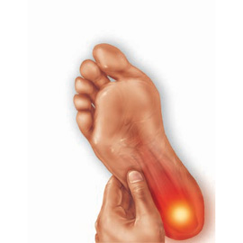 medical illustration of Airbrush, Color, Alternative Medicine, Anatomy, General Medicine, Orthopaedics