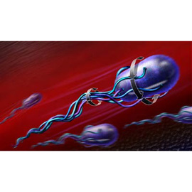 medical illustration of Created for the National Science Foundation, this illustration shows how the flagella of an E. coli bacterium rotate to propel it forward.