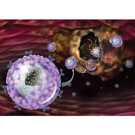 medical illustration of Cancer biologists are harnessing nanotechology to help target chemotherapy directly to cancer cells and malignant tumors. Created for CR magazine.