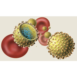 medical illustration of Color, Information Graphics, Biology, Biotechnology, Cell biology / Histology, Pharmacology