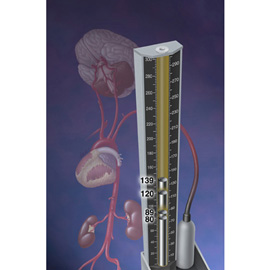 medical illustration of Color, General Medicine