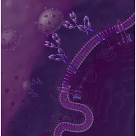 medical illustration of Color, Allergy / Immunology, Molecular Biology