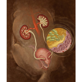 medical illustration of Color, Veterinary Medicine