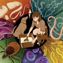 medical illustration of Color, Disease Management, Entomology, General Medicine, Veterinary Medicine, Virology