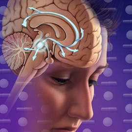 medical illustration of Color, Anatomy, General Medicine, Neuroscience, Pediatrics, Pharmacology
