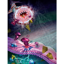 medical illustration of This pharmaceutical illustration shows the steroid and bronchodilator molecular constituents of Symbicort and their binding to receptors on the cells of the respiratory airways. The drug is used in the treatment of asthma. The artwork is derived from a 3D animated mode-of-action video produced by Geras Healthcare Productions.