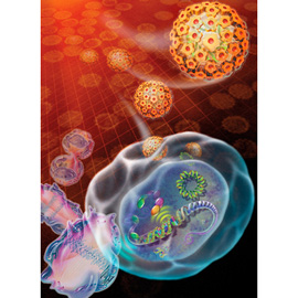 medical illustration of This conceptual illustration shows the transformation of a normal cell into a malignant cell. This transformation is dependent upon the incorporation of the viral genome into the host cell's DNA.