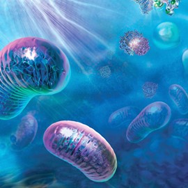 medical illustration of The illustration depicts the cell interior with a view upwards towards the cell membrane through which cytotoxic signals are penetrating the cell. The illustration is derived from a 3D animated video describing the role of mitochondrial proteins in the induction of apoptosis. Both the illustration and the video were created for a pharmaceutical client.