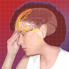 medical illustration of Neuroscience, Pharmacology, Portraits, Legal Exhibits