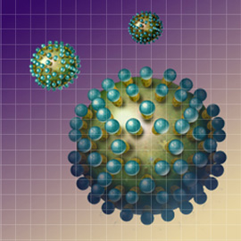 medical illustration of Allergy / Immunology, Alternative Medicine, Virology