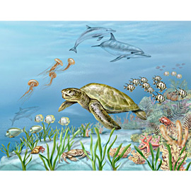 medical illustration of Color, Biology, Natural Science / Nature, Zoology