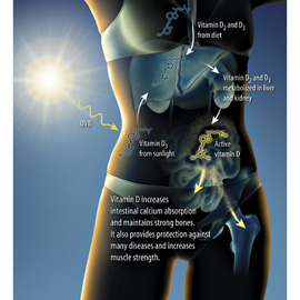 medical illustration of Airbrush, Color, Dermatology, Disease Management