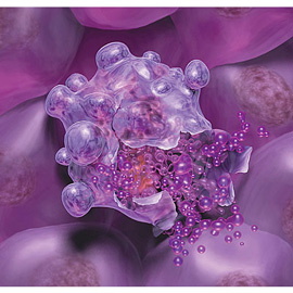 medical illustration of Three-dimensional / Models, Anatomy, Biotechnology, Cell biology / Histology, Molecular Biology