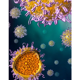 medical illustration of Color, Three-dimensional / Models, Allergy / Immunology, Cell biology / Histology, Virology