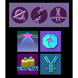 medical illustration of Color, Three-dimensional / Models, Biotechnology, Molecular Biology