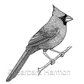 medical illustration of Black & White, Biology, Natural History, Natural Science / Nature, Veterinary Medicine, Zoology