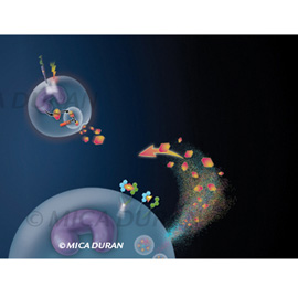 medical illustration of PPT image for pharmaceutical method of action campaign