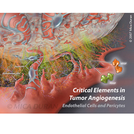 medical illustration of Poster for Pharmaceutical Convention