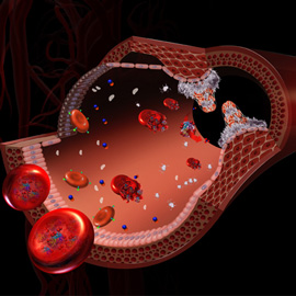 medical illustration of Color, Cell biology / Histology, Endocrinology / Metabolic, Molecular Biology