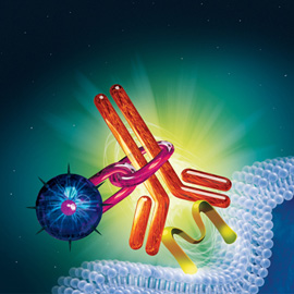 medical illustration of Color, Information Graphics, Cell biology / Histology, Molecular Biology