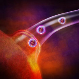 medical illustration of Information Graphics, Biology, Cell biology / Histology, Molecular Biology