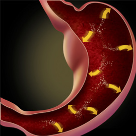 medical illustration of Information Graphics, Anatomy, Gastroenterology, Pharmacology