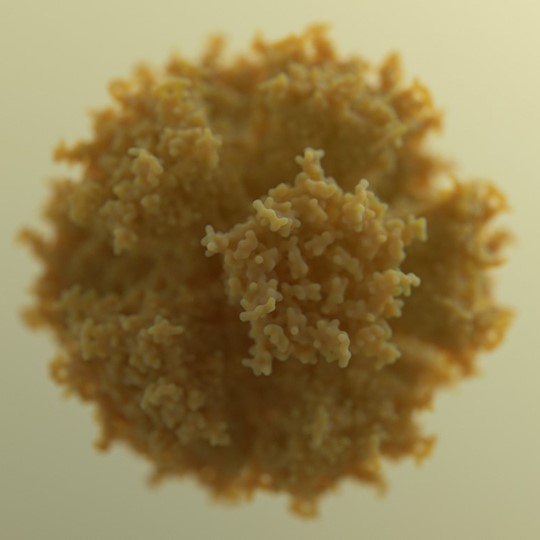 Medical Illustration And Animation Association Of Medical Illustrators