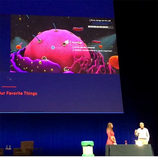 Anatomy By Design, Inc. - Medical Illustration & Animation | Boston