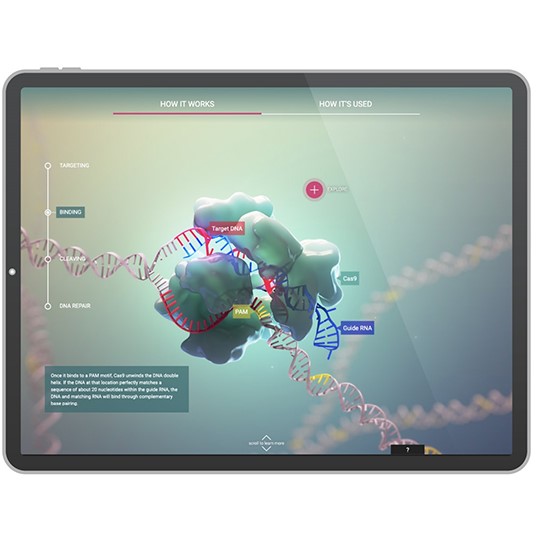 Medical Illustration And Animation Association Of Medical Illustrators