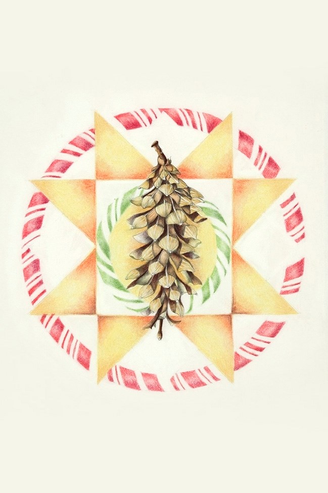 medical illustration of Watercolor, pastel, and graphite, 10” x 12”
Animals. Botanical art, Botanical illustration, Cone, Four-color, Graphite, Holiday botanicals, Lifestyle magazine, Newspaper editorial, Ornithology, Painting, Pastel, Pine cone, Realism, Textbook illustration, Watercolor