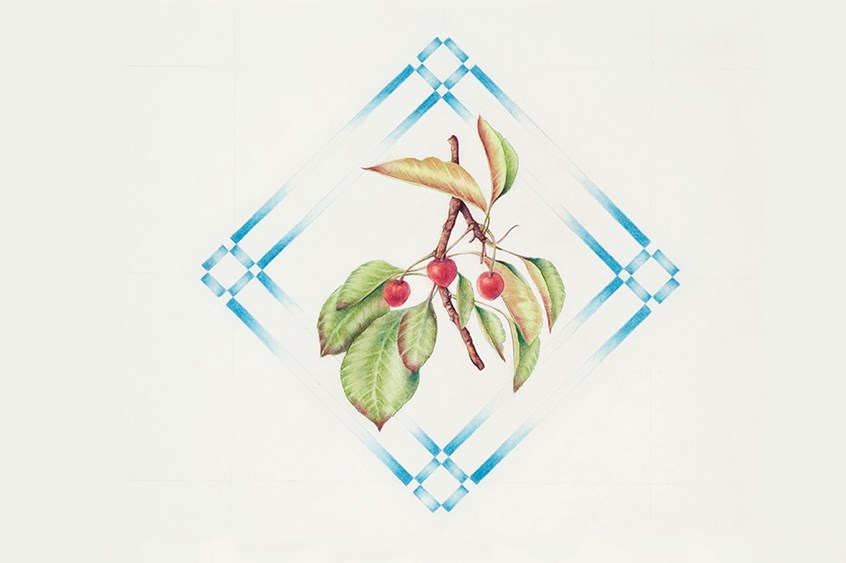 medical illustration of Watercolor and pastel, 17 x 14”
Botanical art, Botanical illustration, Color, Cone, Digitalis (foxglove), Drupe, Field guide, Food, Food and drink, Four-color, Fruit, Lifestyle magazine, Newspaper editorial, Painting, Pastel, Perennial, Publishing, Realism, Seasonal Fruit, Stone fruit, Textbook illustration, Watercolor