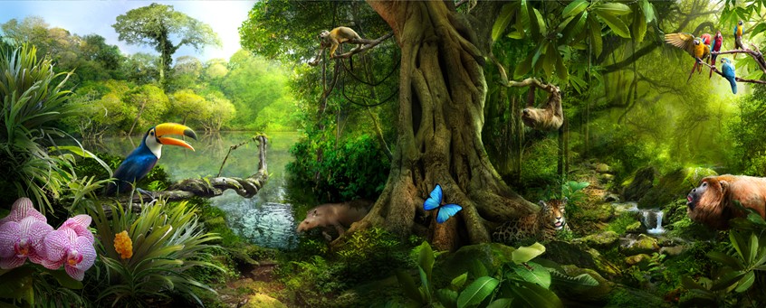 medical illustration of A scientific illustration depicts a rain forest. The artwork is made with the photos provided by Asset Library Pearson.
The client's request was to show tall trees plants such as Ceiba, lianas, orchids, epiphytes, butterfly, leafcutter ant, ara macao, toucan, three-toed sloth, howler monkey, squirrel monkey, jaguar and tapir.
