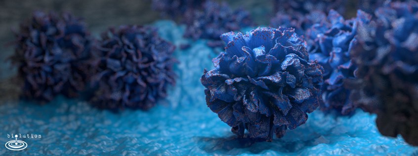 medical illustration of These cells are part of the immune system and have their function in antigen presentation. They are presenting the antigen material to T cells having the key role as messenger between the innate and adaptive immune system giving them the possibility of producing antibodies and attack directly the pathogen.