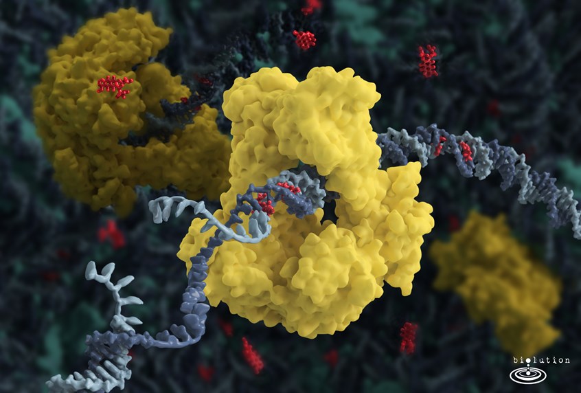 medical illustration of Cancer is one of the most common cause of death. Therefore, scientist have found multiple ways in their desire to destroy cancer ultimately. Going of immune or radiation therapies to the intake of cytotoxic ingrediences like Taxol or Doxorubicin by interfering at DNA synthesis and promote further mutations.