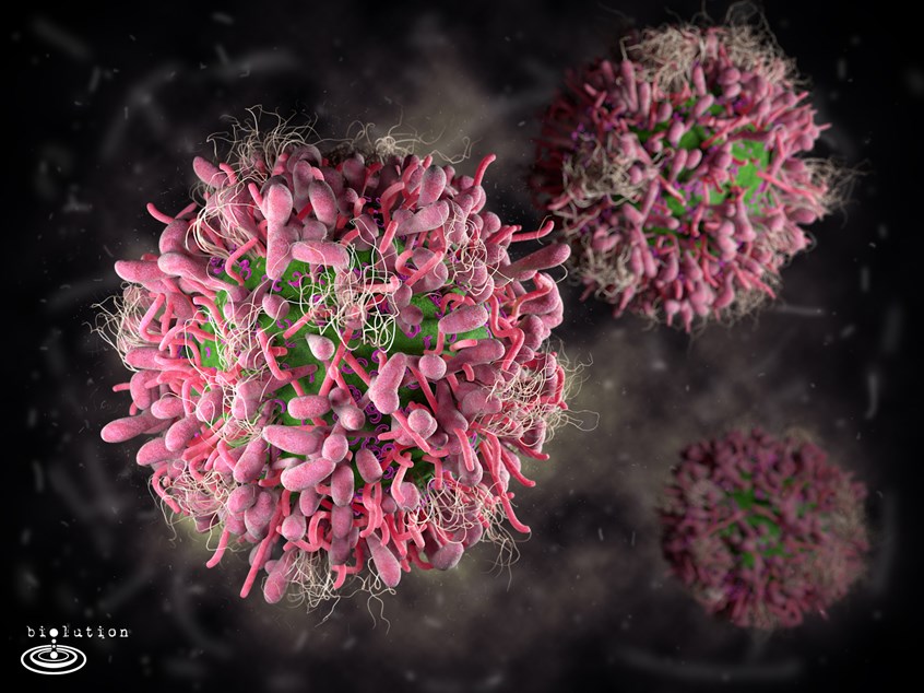 medical illustration of T cells are a highly heterogenic group of immune cells developed in the thymus. They are fulfilling various important function in our body. Special CD8+ T cells also known as cytotoxic cells can directly kill virus infected cells. While others play an important role in the adaptive immune response.