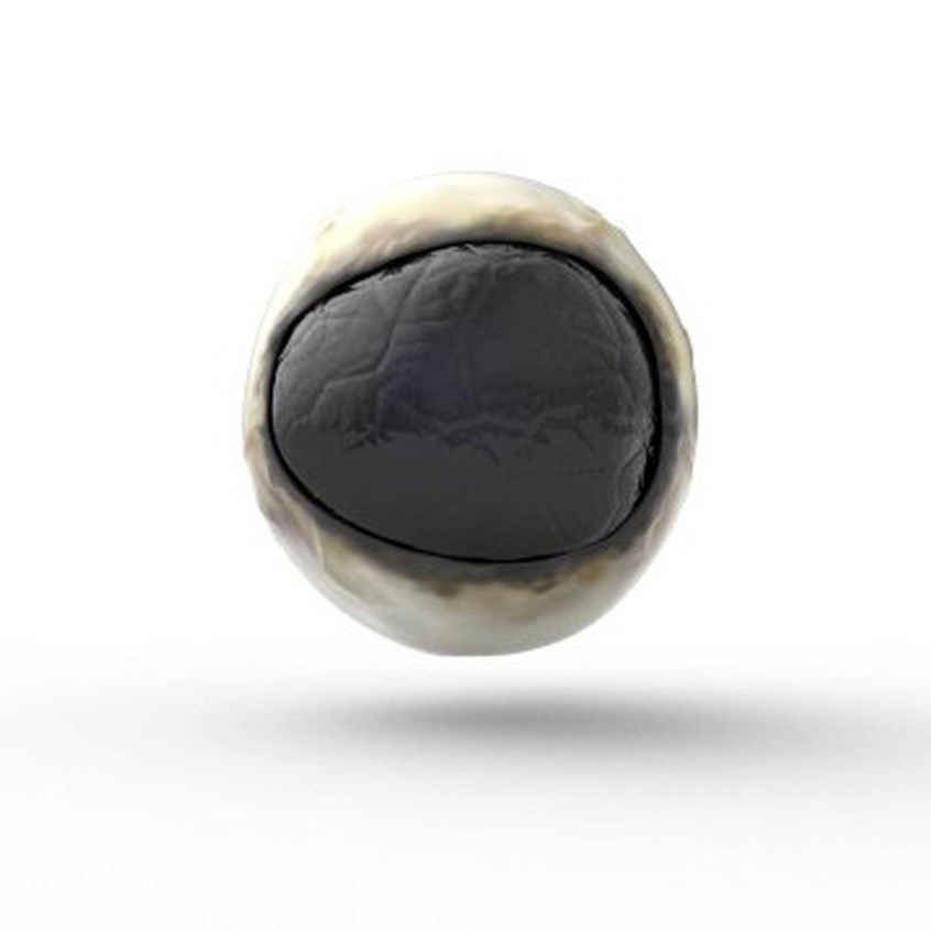 medical illustration of 3D exterior equine eye created and optimized for a VR veterinary application in the HoloLens.
Created for the Veterinary Department at Auburn University