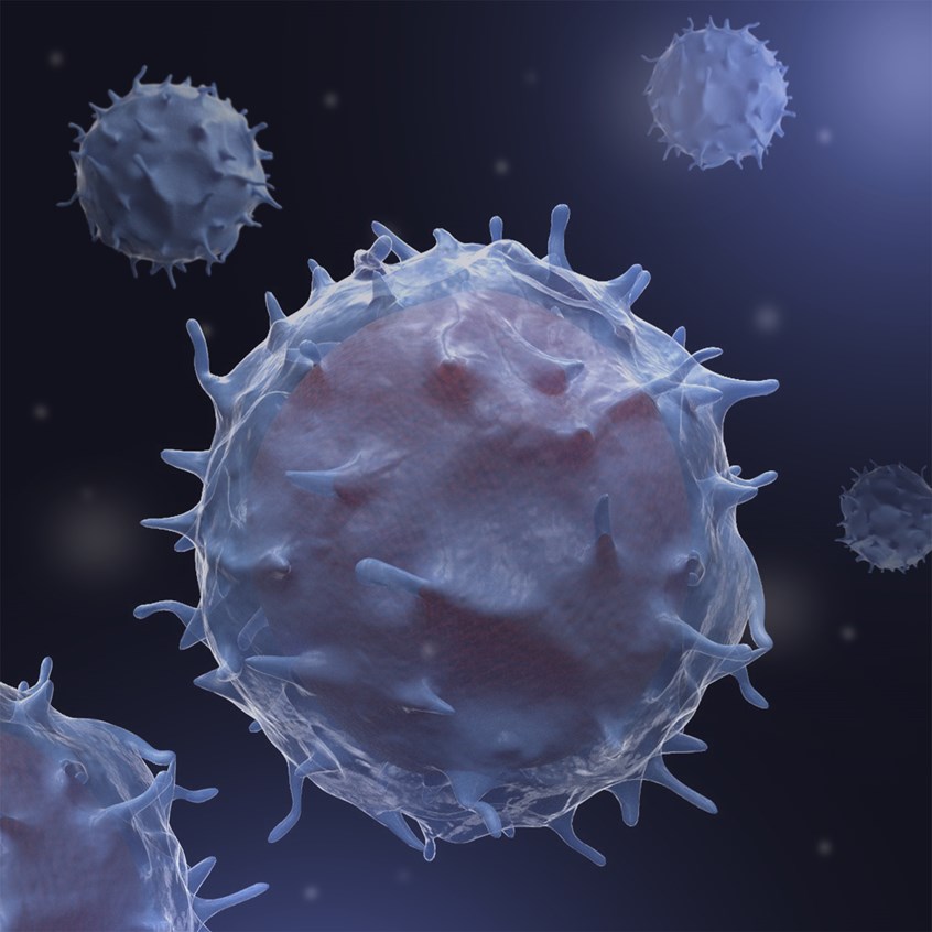 medical illustration of 3D Hematopoietic stem cell
Created and optimized for a an augmented reality application by ARdVRk Technologies