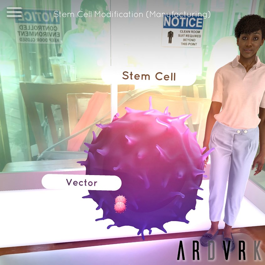 medical illustration of 3D Hematopoietic stem cell and Lentivirus delivery vectors in virtual space
Created and optimized for a an augmented reality application by ARdVRk Technologies