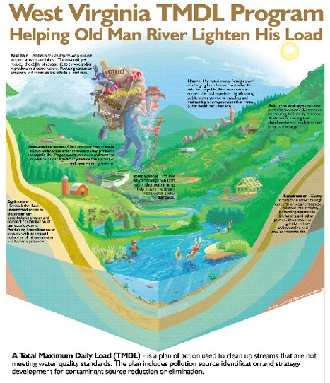 medical illustration of A large poster illustration of the ecology of a river in West Virginia. Produced for the West Virginia Department of Natural Resources in 2006.