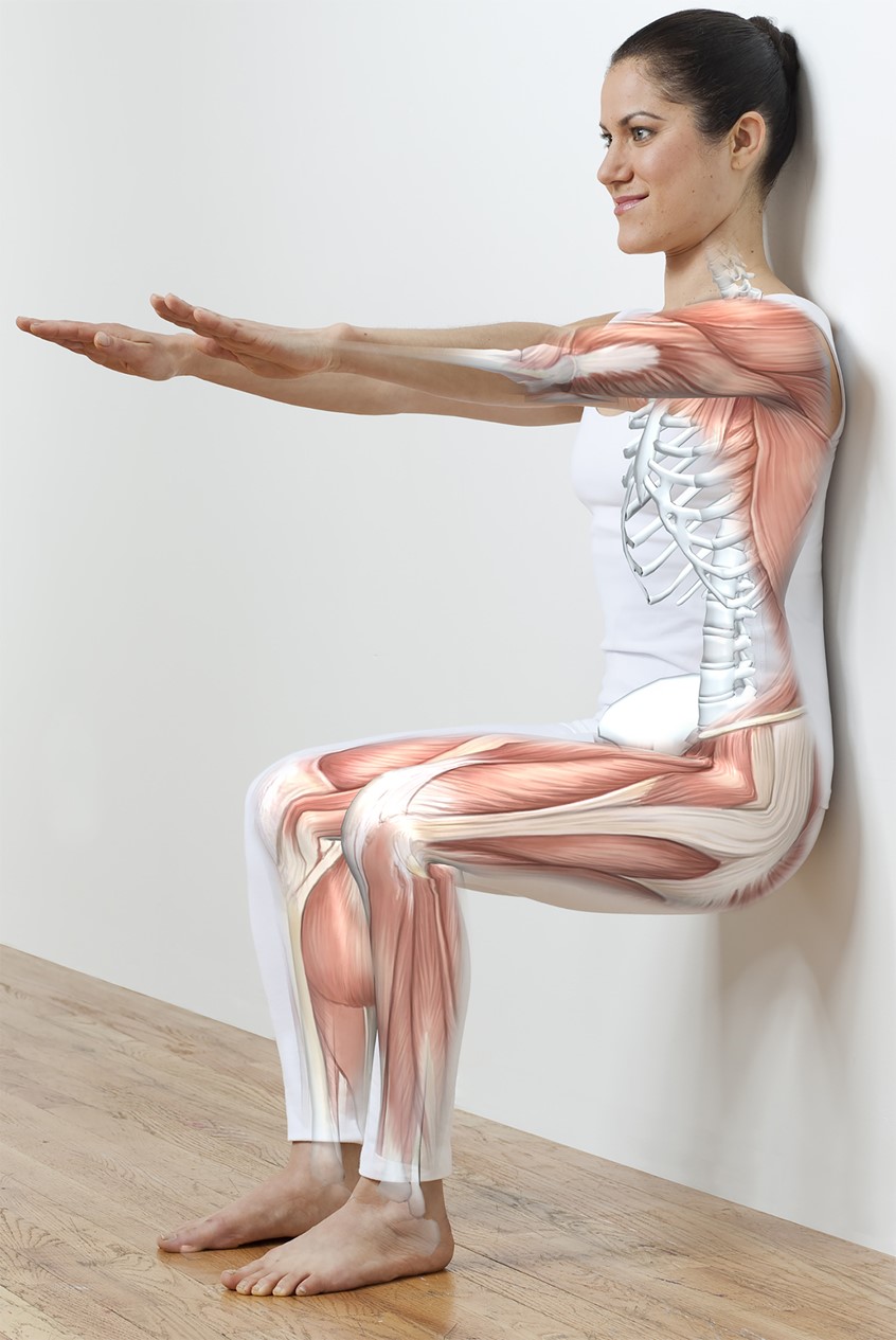 medical illustration of One of a series of illustrations showing various positions and exercises for a book on Pilates for Dorling Kindersley