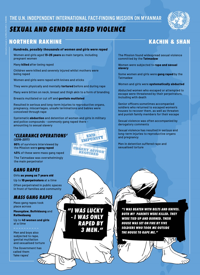 medical illustration of One of a set of six Infographics for Independent International Fact-Finding Mission on Myanmar at UN Human Rights Council
(Infographic, information graphic, chart, educational, statistics, politics, graphic design, vector illustration, informational. editorial. vector graphic. UNO)