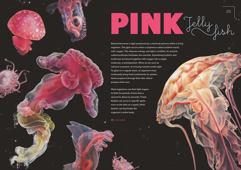 medical illustration of Illustration (drawings and infographic) accompanied by explanatory scientific facts about bioluminescence in jellyfish and sea cucumbers (Pelagothuriidae).
(Zoological illustration. Scientific visualisation. Marine biology. Jellyfish. Medusa. Sea cucumbers. Deep sea creatures. Marine science. Water life. Oceanology. Ocean animals. Physiology, Bioluminiscence. Educational. Editorial. Medusa. Biology. Fauna. Animals. Chart. Information graphic. Graphic Design. Research. Editorial.)