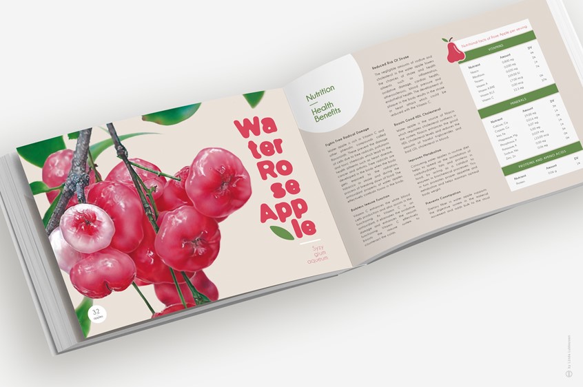 medical illustration of Botanical Illustration (Drawing) of the Water Rose Apple (Syzygium aqueum), accompanied by scientific information about its nutritional benefits
Botanical Illustration, Natural Science, Botany, Water Rose Apple, Flora, Infographic, Scientific Visualisation, Plants, Fruit, Nature, Information Graphic, Information Chart, Chart, Education, Educational, Science. Illustration. Drawing. Editorial.