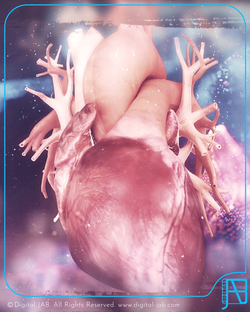 medical illustration of The human heart is a vital muscular organ, roughly the size of a closed fist, located in the chest between the lungs. It plays a crucial role in the circulatory system by pumping blood throughout the body.